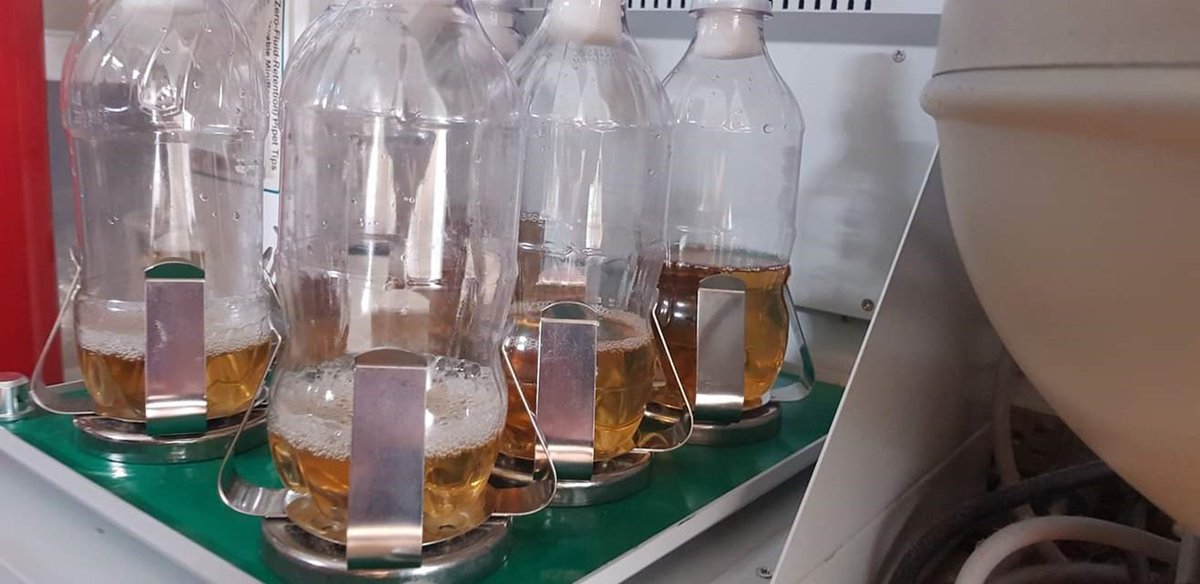 Sebastian S. Cocioba🪄🌷 tweet media