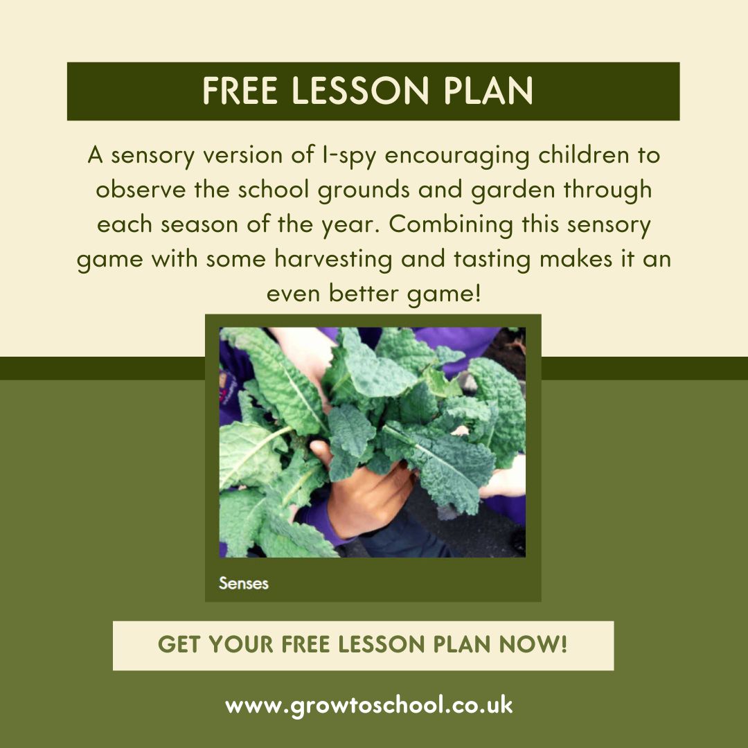 As school routines resume, try our Senses activity to get the children outside exploring. It's a fun way to engage their senses and connect with nature. You can download the activity for free here: growtoschool.co.uk/wp-content/upl… #outdoorlearning #schoolgardening
