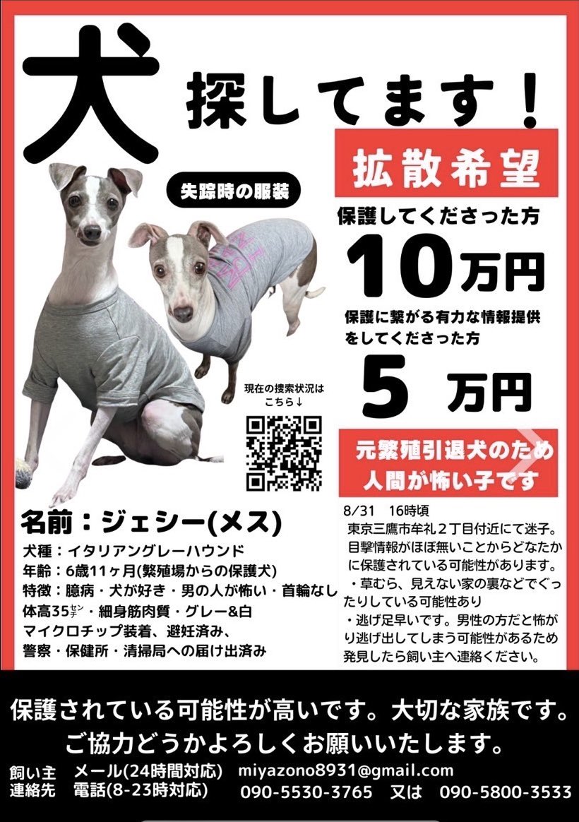mofu2_paradise's tweet photo. 🐶迷子になってます
お友達が捜索のお手伝いをしています🐶
無事にお家に帰れます様に🙏
#迷子犬
#イタグレ https://t.co/qSavTxiRJb
