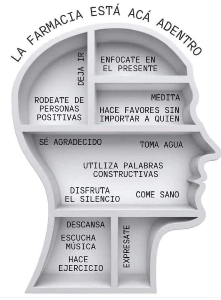 vibracosmos's tweet image. 