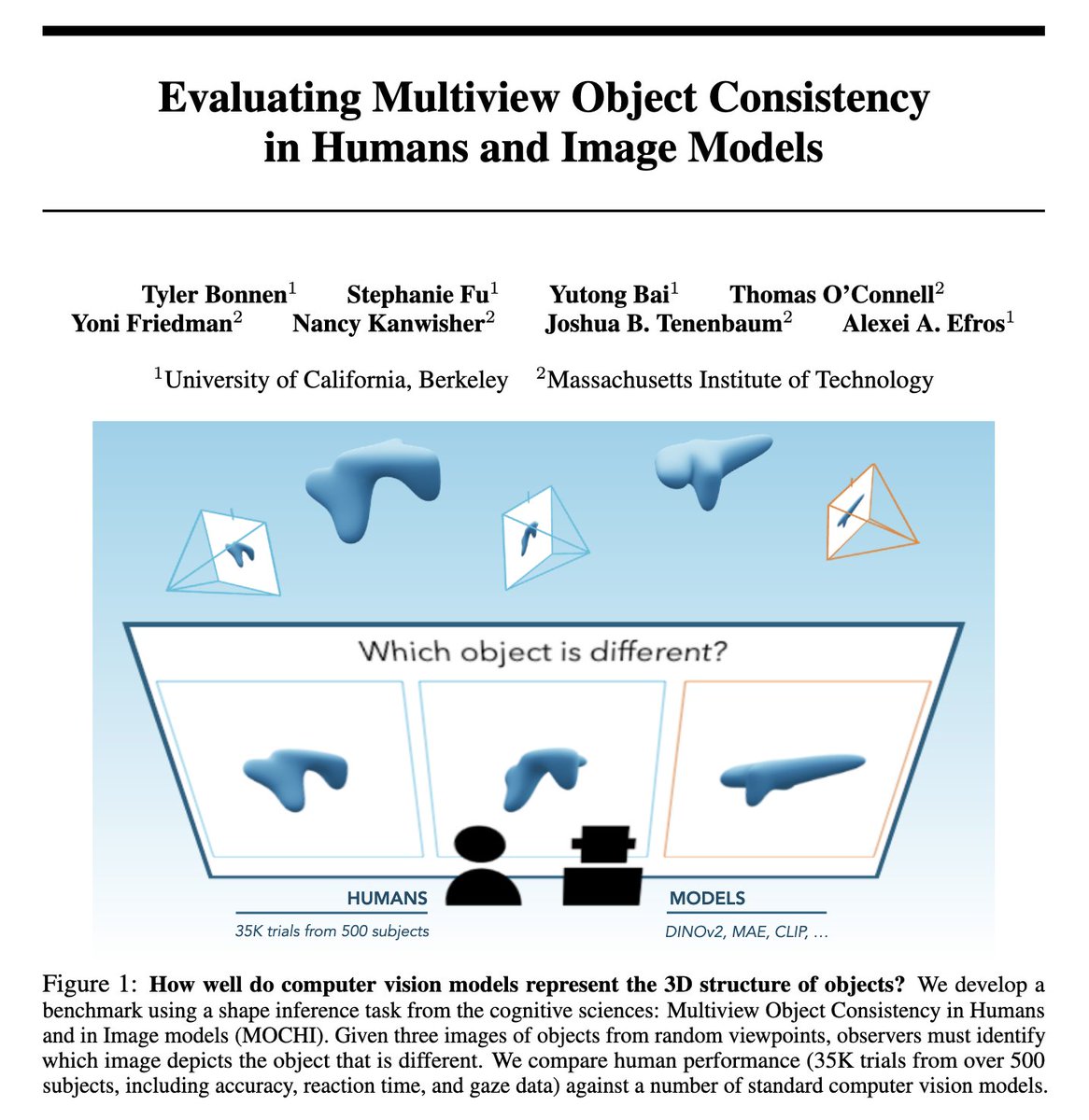 tyler bonnen (@tylerraye) on Twitter photo do large-scale vision models represent the 3D structure of objects?
excited to share our benchmark: multiview object consistency in humans and image models (MOCHI)
with <a href="/xkungfu/">Stephanie Fu</a> <a href="/YutongBAI1002/">Yutong Bai</a> <a href="/thomaspocon/">Thomas O'Connell</a> @_yonifriedman <a href="/Nancy_Kanwisher/">Nancy Kanwisher @NancyKanwisher@mas.to</a> Josh Tenenbaum and Alexei Efros
1/👀 do large-scale vision models represent the 3D structure of objects?
excited to share our benchmark: multiview object consistency in humans and image models (MOCHI)
with <a href="/xkungfu/">Stephanie Fu</a> <a href="/YutongBAI1002/">Yutong Bai</a> <a href="/thomaspocon/">Thomas O'Connell</a> @_yonifriedman <a href="/Nancy_Kanwisher/">Nancy Kanwisher @NancyKanwisher@mas.to</a> Josh Tenenbaum and Alexei Efros
1/👀