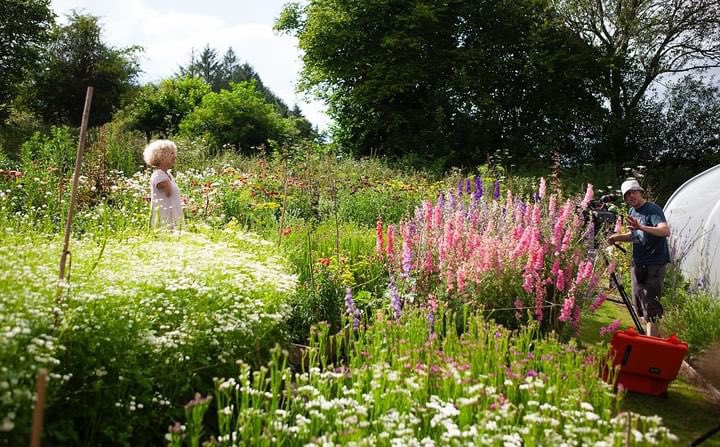Sue Kent (@suekentathome) on Twitter photo My kind of paradise on <a href="/GWandShows/">BBC Gardeners World</a> tonight BbC2 at 9.00pm when I visit <a href="/LaylaRobinsonfl/">Layla Robinson</a> who creates 21st century art from dried flowers, a heavenly day of filming. #GardenersWorld #floralinspiration My kind of paradise on <a href="/GWandShows/">BBC Gardeners World</a> tonight BbC2 at 9.00pm when I visit <a href="/LaylaRobinsonfl/">Layla Robinson</a> who creates 21st century art from dried flowers, a heavenly day of filming. #GardenersWorld #floralinspiration