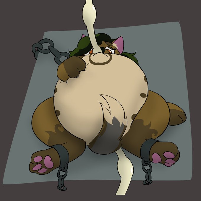 Lattice Butt Fattice ➡️ Furry Migration tweet media