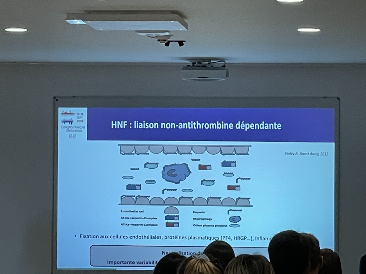 La session hot topics multidisciplinaires #CFH2024, à l’image du domaine de l’hémostase, rassemble! Belle introduction du vaste sujet hémostase et soins critiques par Alexandre Mansour suivi de l’impact des HNF et AT basse sur les dosages bio par Isabelle Gouin Thibault!