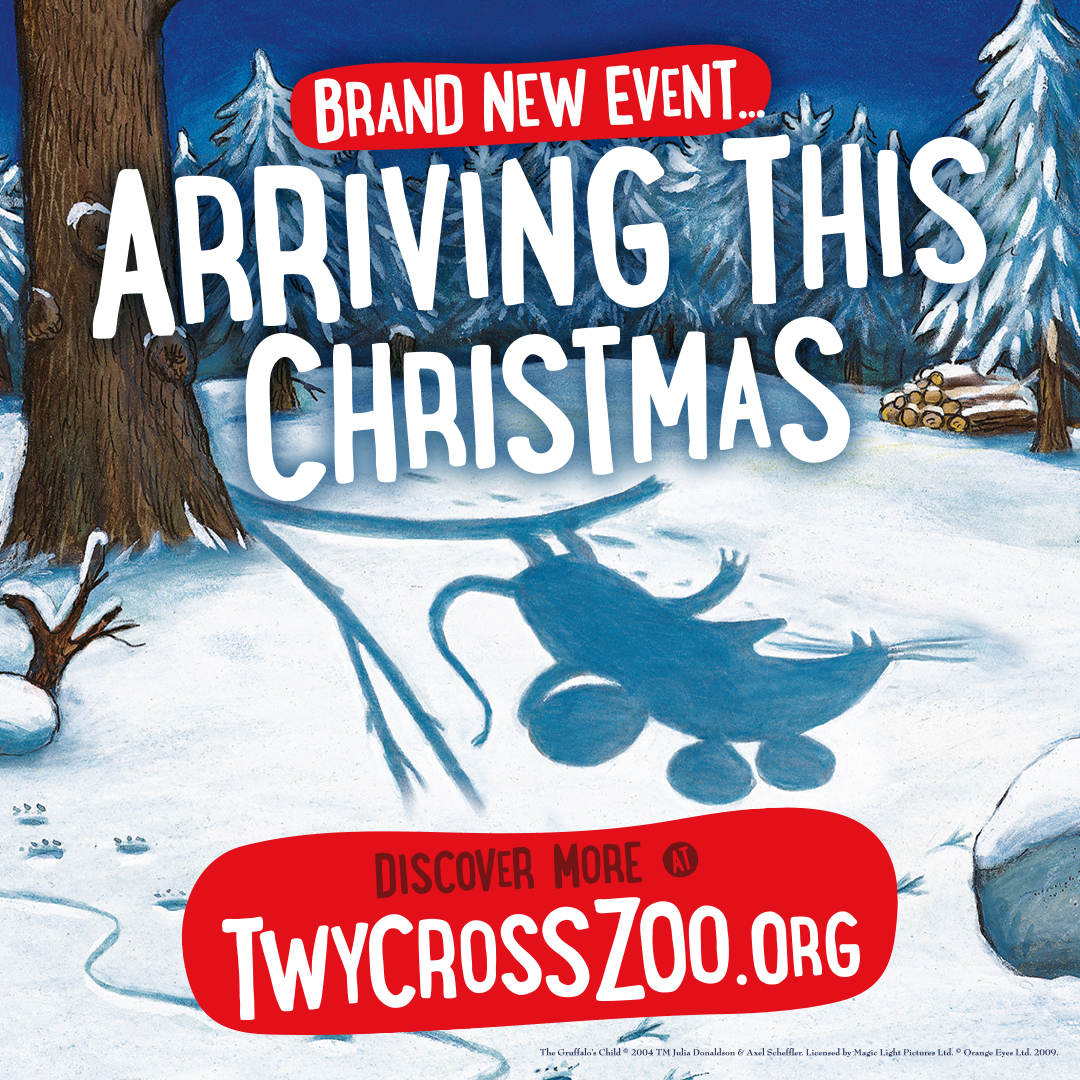 Something BRAND NEW is coming to The Gruffalo Discovery Land this Christmas 👀❄️🎄

Just wait and see 👉 bit.ly/just-wait-and-…