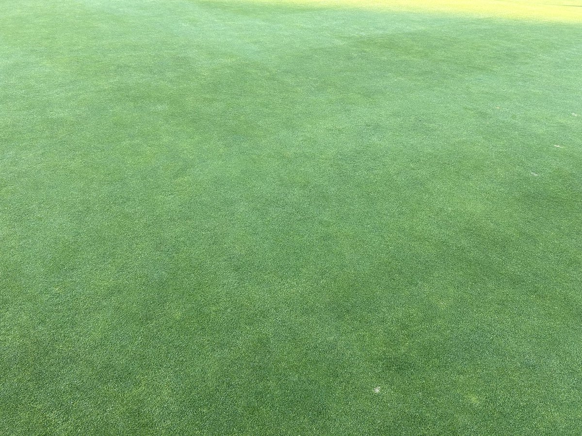 Grant Peters tweet media