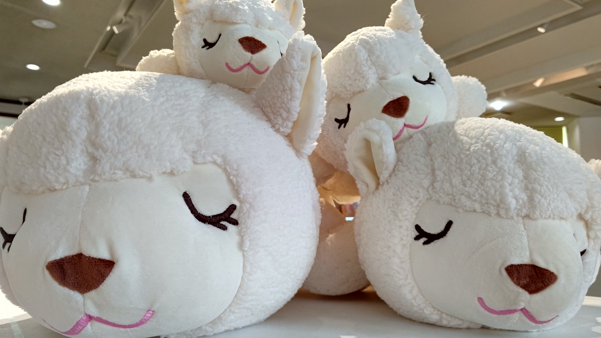 ぬいぐるみくじに新しい仲間「アルパカ」が入荷しました。
ふわもこで手触り気持ち良いです。
頑張って、大きい子当ててくだささいね。