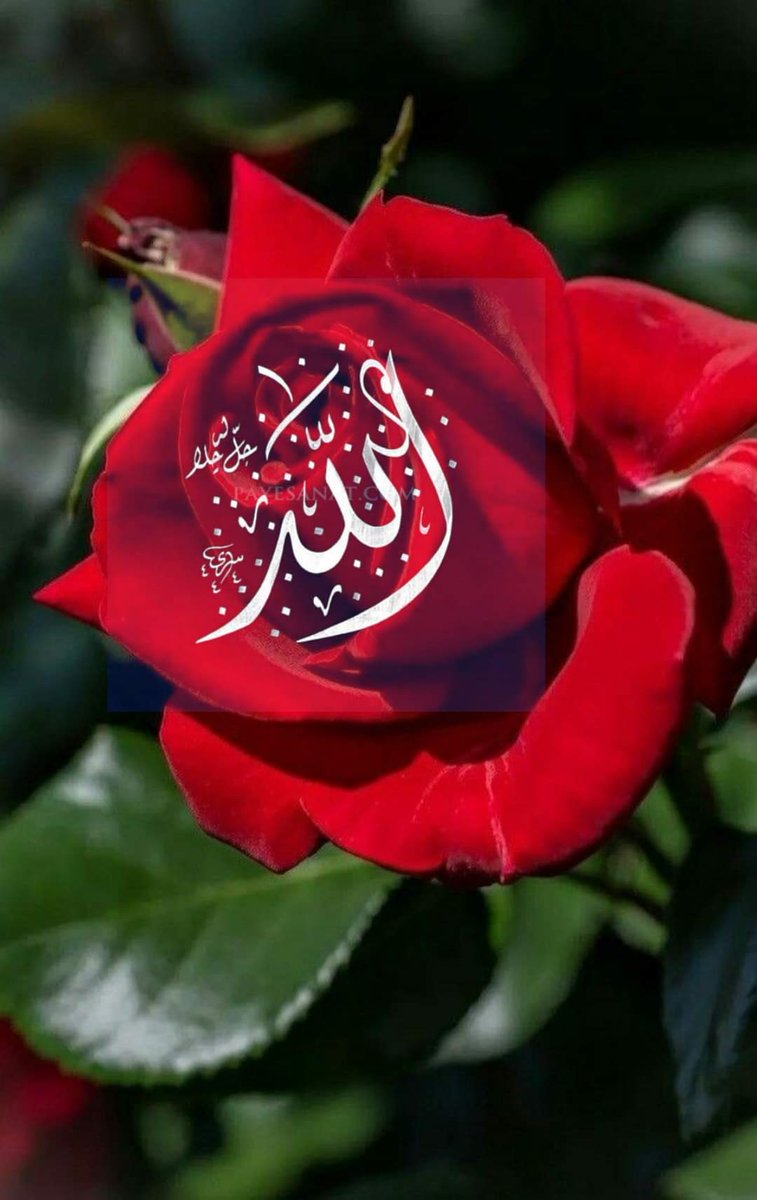 Sadegl16707129's tweet photo. Allah'ın, Rahmeti, Bereketi Üzerinize Olsun, Evinizde Huzur, Yüzünüzden Tebessüm Eksik Olmasın. 
Hayırlı cumalar https://t.co/ewdieFQwyH