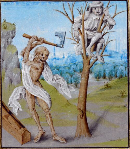 mori_algo's tweet image. 🌳🧗🪓💀
