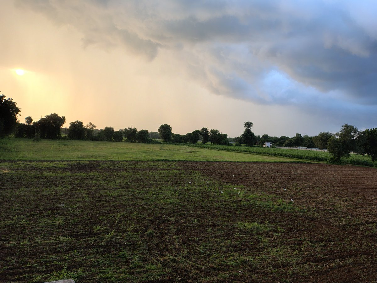 jigspatel1988's tweet photo. Taking a break from the charts/expiry and enjoying the serenity of my farmhouse ๐ฟ๐. Fresh air, wide open fields, and a little reminder that there's more to life than just numbers. Here's a glimpse of the farms ๐ก๐พ #FarmLife #TraderBreak #NatureVibes
lucky to have 20 acr land https://t.co/ki3dOGm2J4