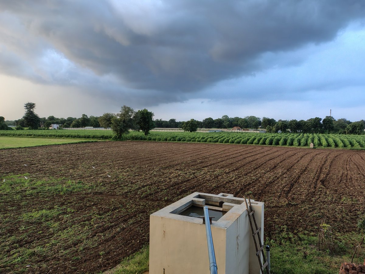 jigspatel1988's tweet photo. Taking a break from the charts/expiry and enjoying the serenity of my farmhouse ๐ฟ๐. Fresh air, wide open fields, and a little reminder that there's more to life than just numbers. Here's a glimpse of the farms ๐ก๐พ #FarmLife #TraderBreak #NatureVibes
lucky to have 20 acr land https://t.co/ki3dOGm2J4