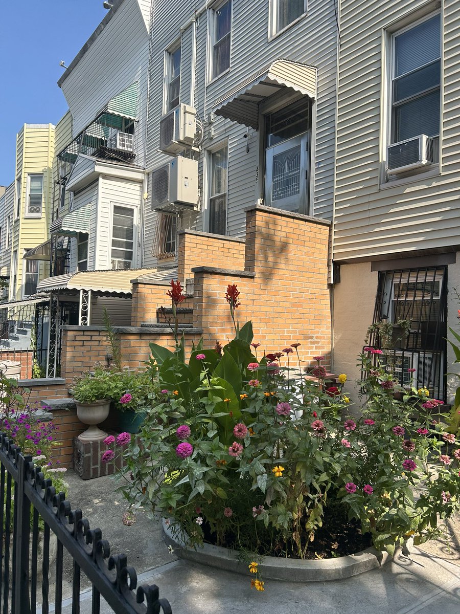 king elisabeth tweet media