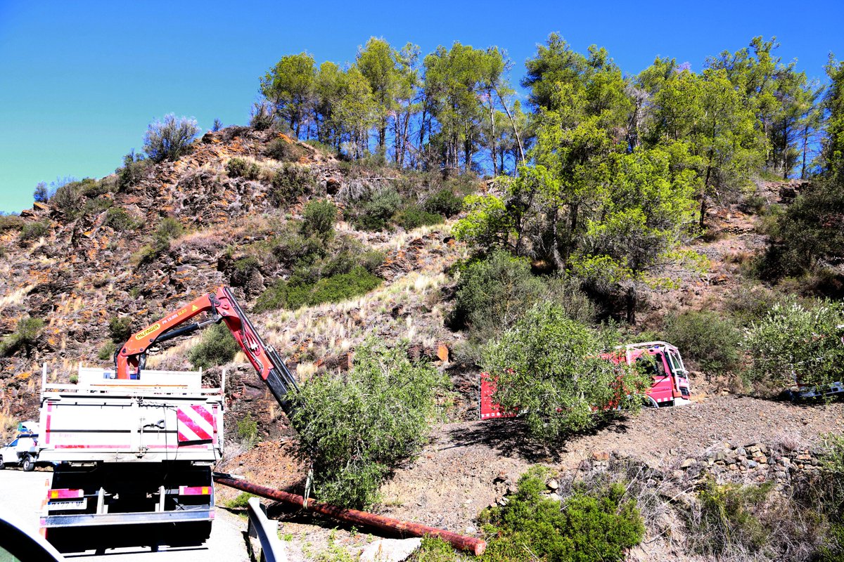 SER_TgnReus's tweet photo. L' #IFPorrera està controlat: ha cremat 14 hectàrees. Els @bomberscat continuen sobre el terreny amb 11 dotacions, repassant el perímetre i possibles punts calents
📸: ACN https://t.co/G7qlGEilU8