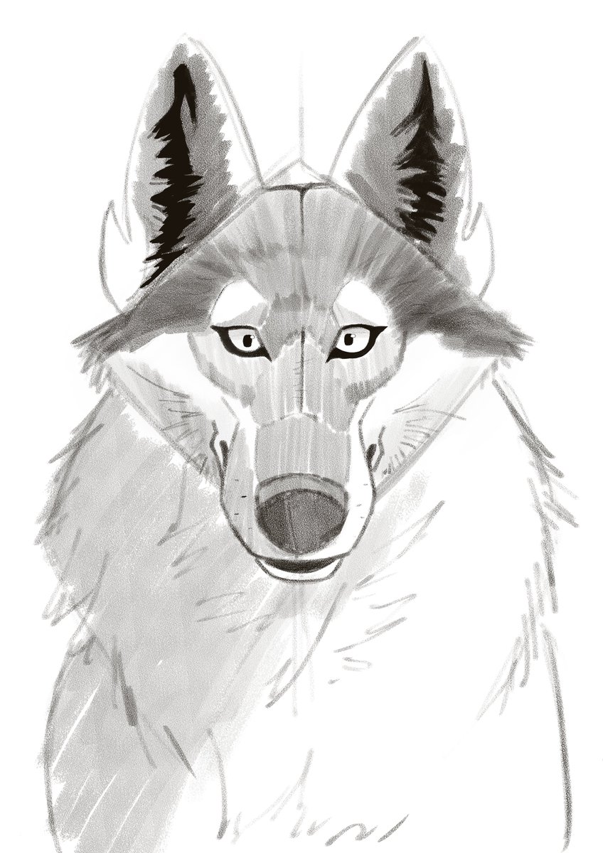 BearFlipsTable's tweet photo. Some works I made using some of @AaronBlaiseArt 's courses I bought. Only barely scratched the surface. 
BTW!! The first one is HIS sketch. I painted over it, but I did not sketch it. #furry #art https://t.co/a9XiJd6p60