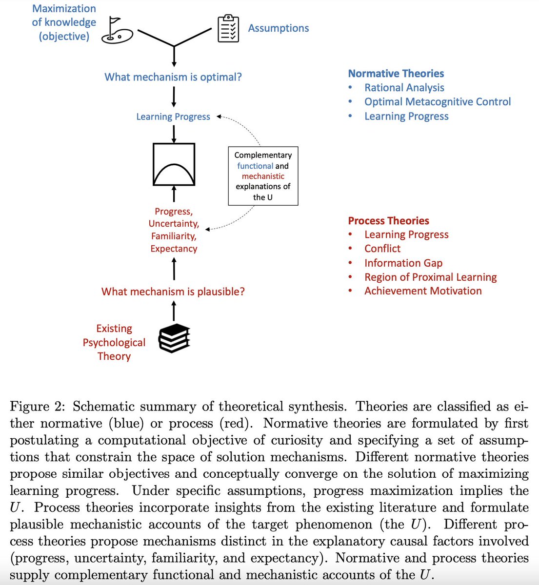 🚀The curious U: Integrating theories linking knowledge and information-seeking behavior

New preprint with Alexander Ten,<a href="/MichikoSakaki/">Michiko Sakaki</a> and <a href="/KouMurayama/">Kou Murayama</a> 
Special thanks to Alex for leading this work! 🙌
📖 osf.io/preprints/psya…

In this paper, we study how 7 theories of human