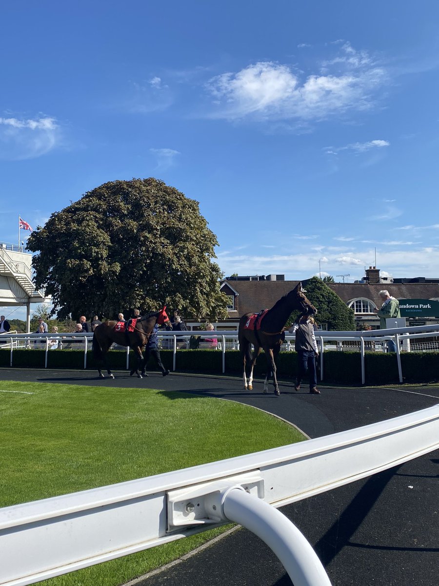 careersinracing.com (@careersinracing) on Twitter photo ๐ฃ๏ธ Media & Communications Assistant <a href="/johnquinnracing/">Sean Quinn</a>
Taking videos & photographs of horses at exercise on a morning to send to their owners via different media channels
Updating our website with our latest news, horses for sale
More Info: โก๏ธ jobs.careersinracing.com/job/333926/medโฆ
#Jobs ๐ฃ๏ธ Media & Communications Assistant <a href="/johnquinnracing/">Sean Quinn</a>
Taking videos & photographs of horses at exercise on a morning to send to their owners via different media channels
Updating our website with our latest news, horses for sale
More Info: โก๏ธ jobs.careersinracing.com/job/333926/medโฆ
#Jobs