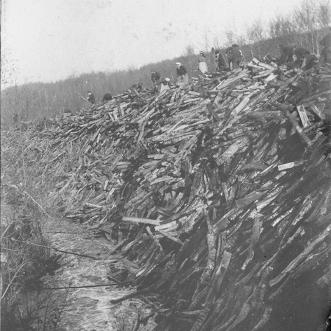 Parmi toutes les propositions pour les #JEP, la conf. de <a href="/VincentBalland1/">Vincent Balland</a> sur l'histoire de la forêt morvandelle, du XIIIe s. à nos jours.
🔥Les Parisiens, vous savez bien sûr que si vous avez eu chaud pendant 3 siècles c'était grâce au Morvan ?
➡️bit.ly/4emOOad