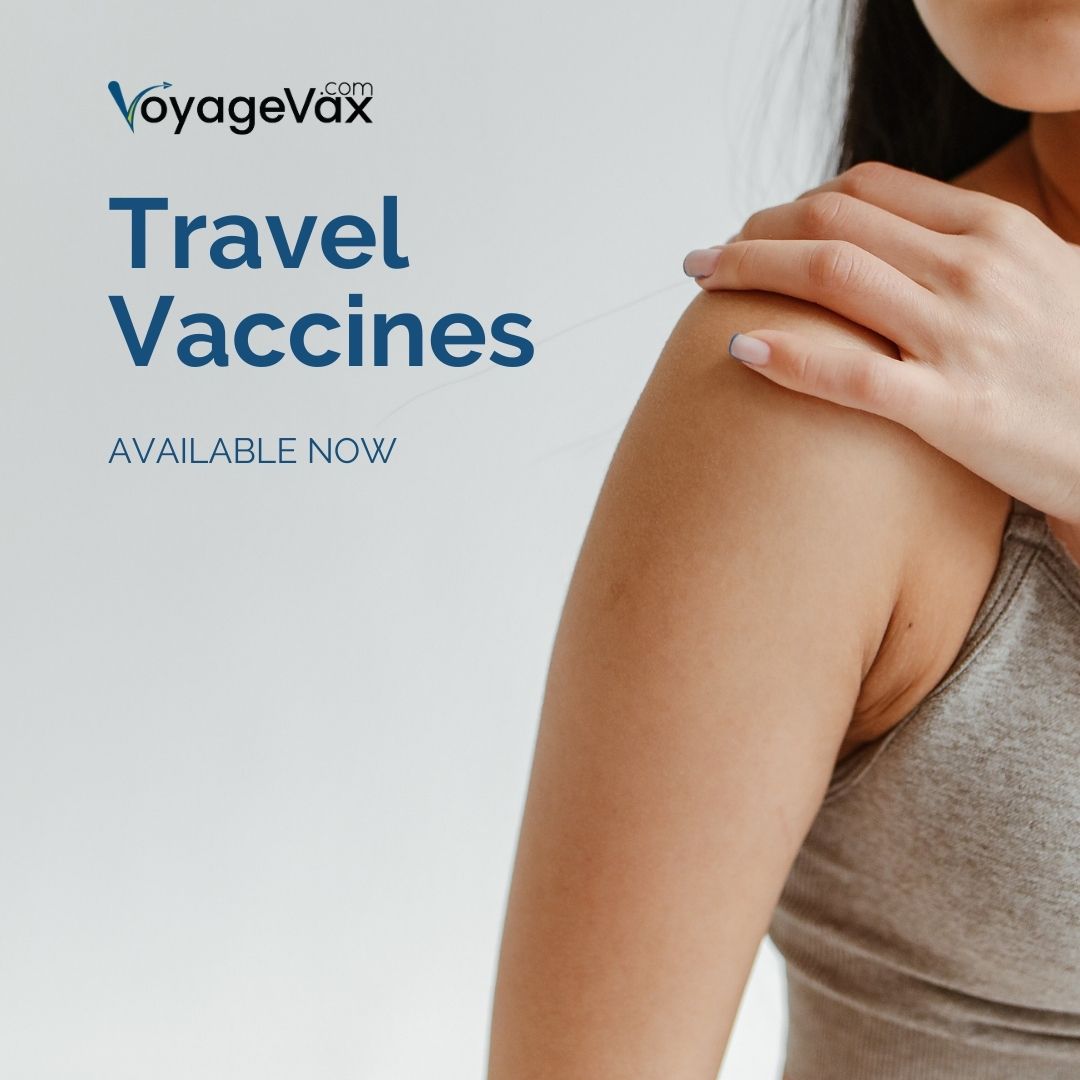 voyagevax's tweet image. Consult with our experts and safeguard your health with recommended travel vaccines. Available now!

Learn more here: l8r.it/TFpy

#travelvaccinations #exploresafe #globalhealthprotection #journeywell #travelsmart
