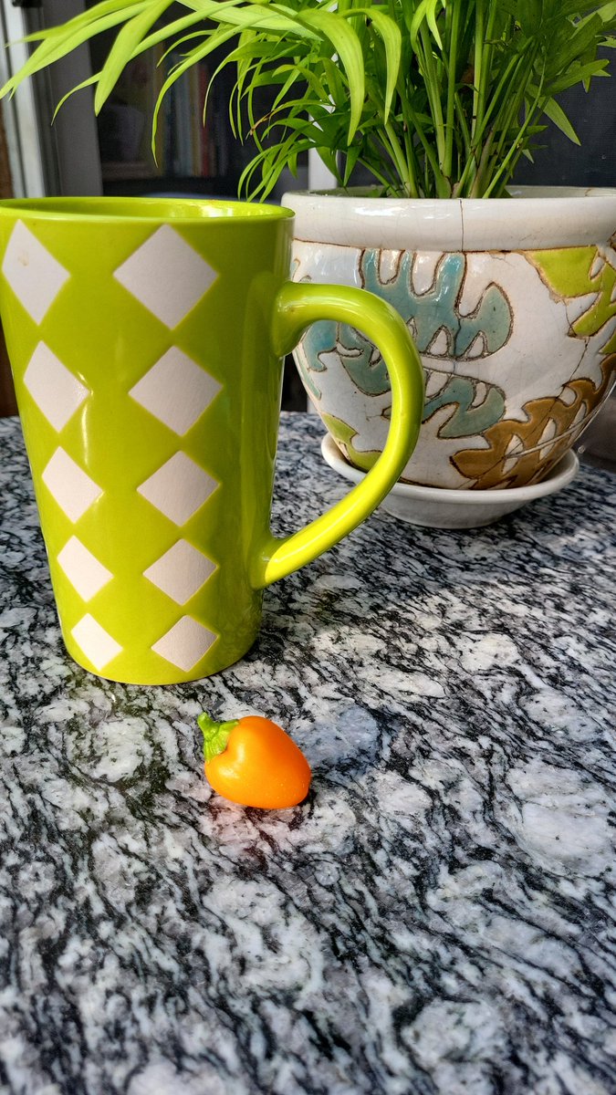 This mornings pepper harvest