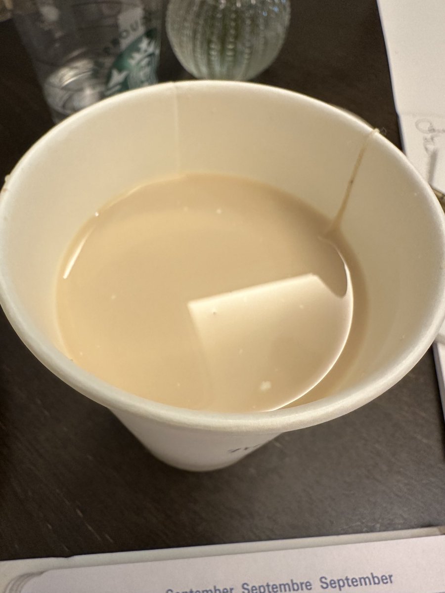 Interesting… if you don’t know how to make tea with a teabag you really don’t know how to make tea with a teabag … you just must let it brew a bit before adding that touch of milk.  Never mind. They meant well. They were simply amazed I didn’t want coffee.