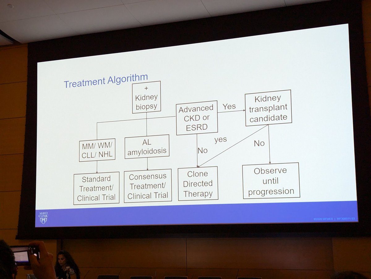 📍MGRS - evaluation and management by Dr. Nelson Leung
✔️How to detect, the importance of using different techniques, Rx algorithm, post kidney tx MGRS recurrence management

 #MSKOncoNephCME <a href="/onconephsociety/">American Society of Onconephrology</a>