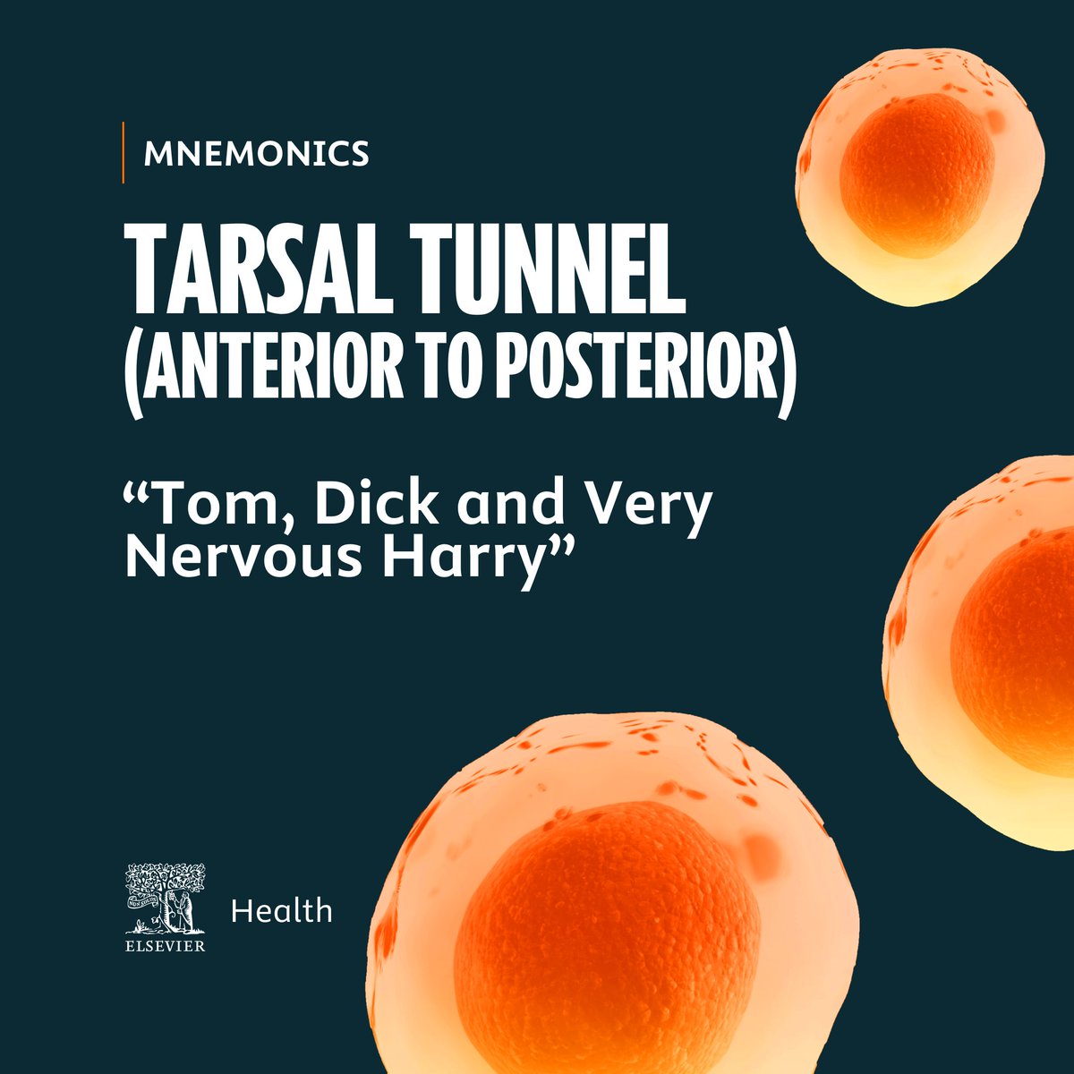 Elsevier Med Students tweet media