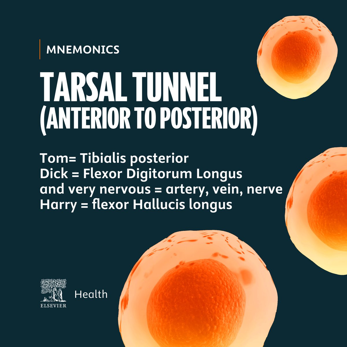 Elsevier Med Students tweet media