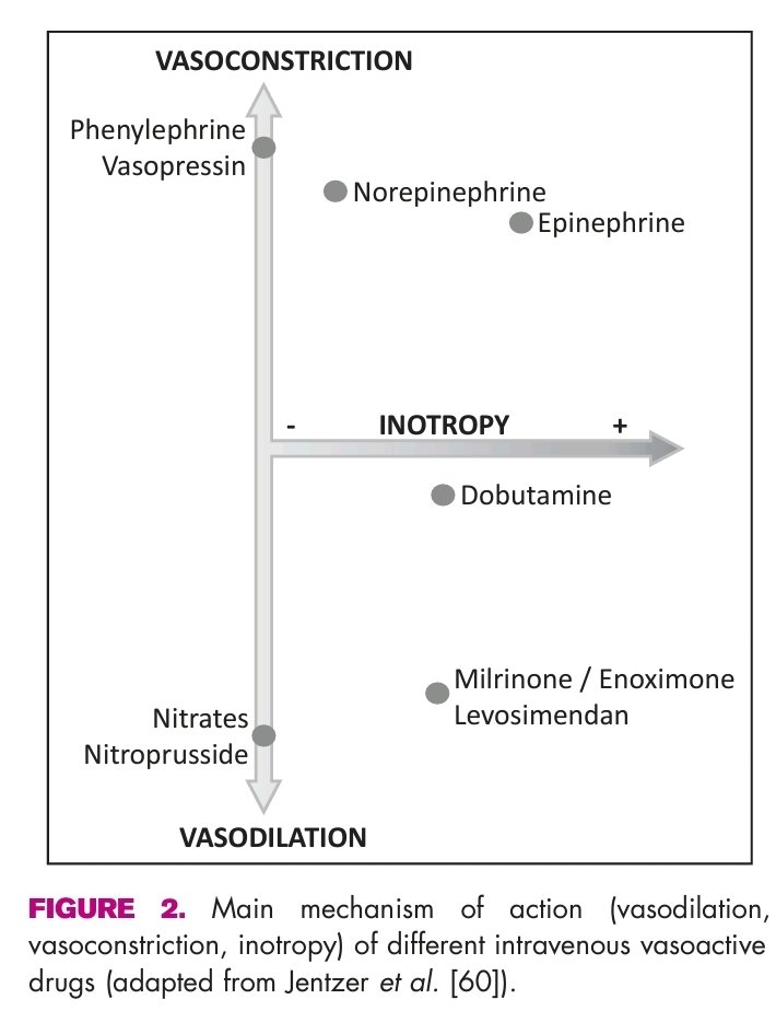 🌟 VASOACTIVE DRUGS - Mechanism of action