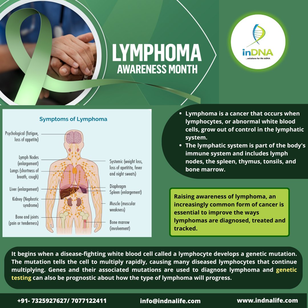 inDNA_life's tweet photo. Lymphomas are one of the common cancers of our immune system. Early detection of lymphoma through genetic testing can significantly improve the chances of successful treatment and survival. Lymphoma awareness  can encourage people to be aware of the symptoms of lymphoma https://t.co/KL9INPYzkK