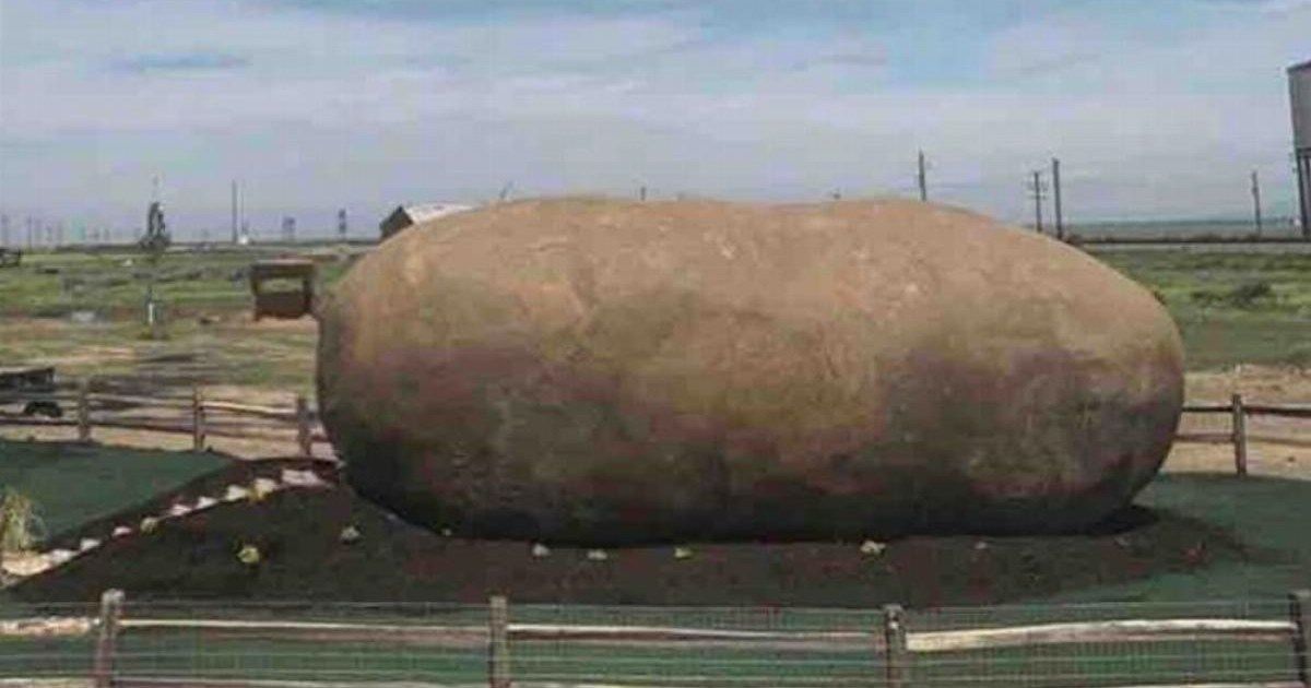 thetvlinsider's tweet photo. Also worth noting, that fees add an outrageous additional £110....  See    Potato lovers can now spend the night inside a giant spud for £145 https://t.co/2NjcxEoomU https://t.co/sMsfWqWTuA