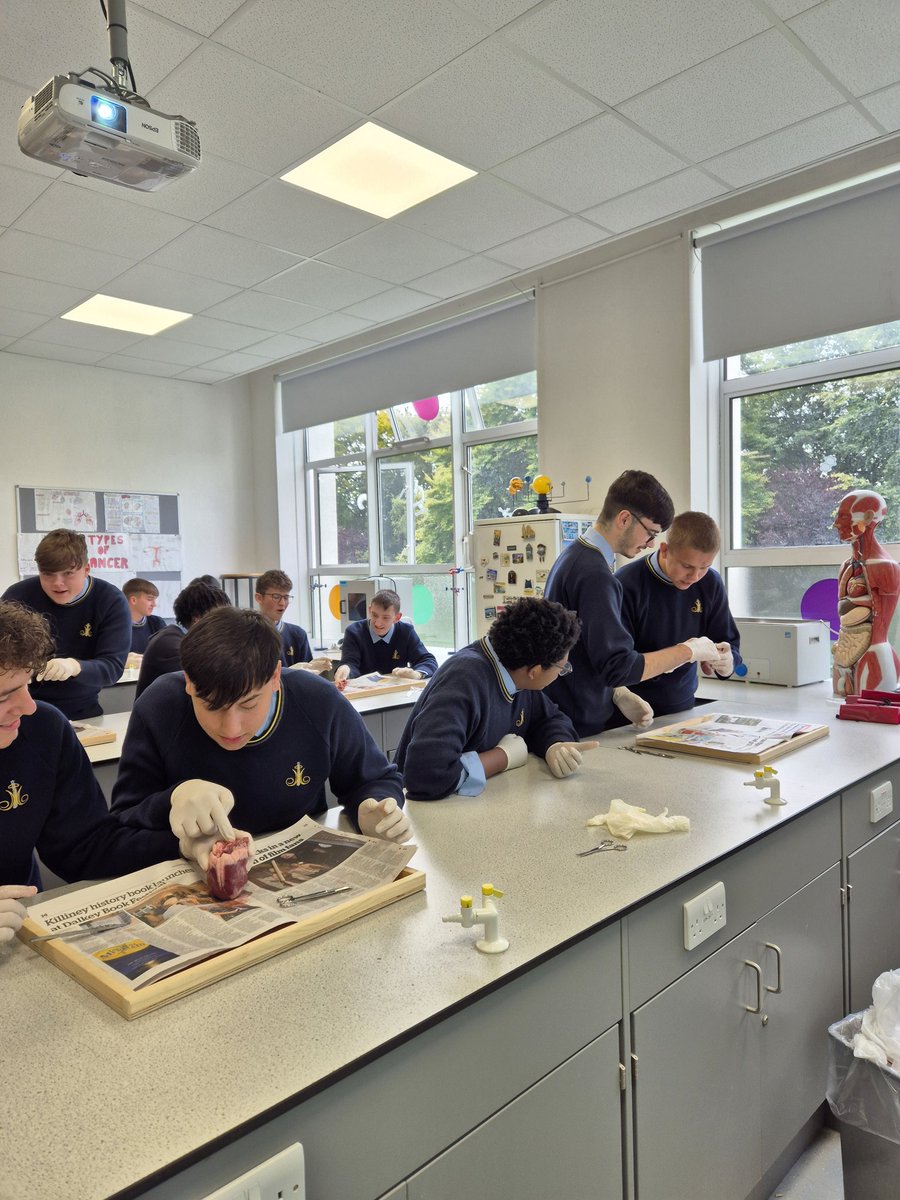 gcoghlanMP's tweet photo. First Biology experiment of the year complete. The sixth year's loved the heart dissection, having missed out on it in first year due to Covid 🧫🔬🧪 @moylepark https://t.co/ZvLftKXNJC