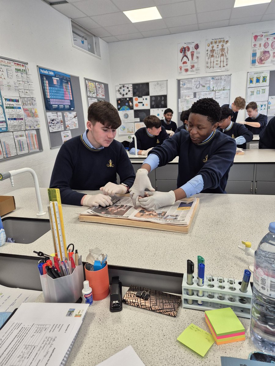 gcoghlanMP's tweet photo. First Biology experiment of the year complete. The sixth year's loved the heart dissection, having missed out on it in first year due to Covid 🧫🔬🧪 @moylepark https://t.co/ZvLftKXNJC