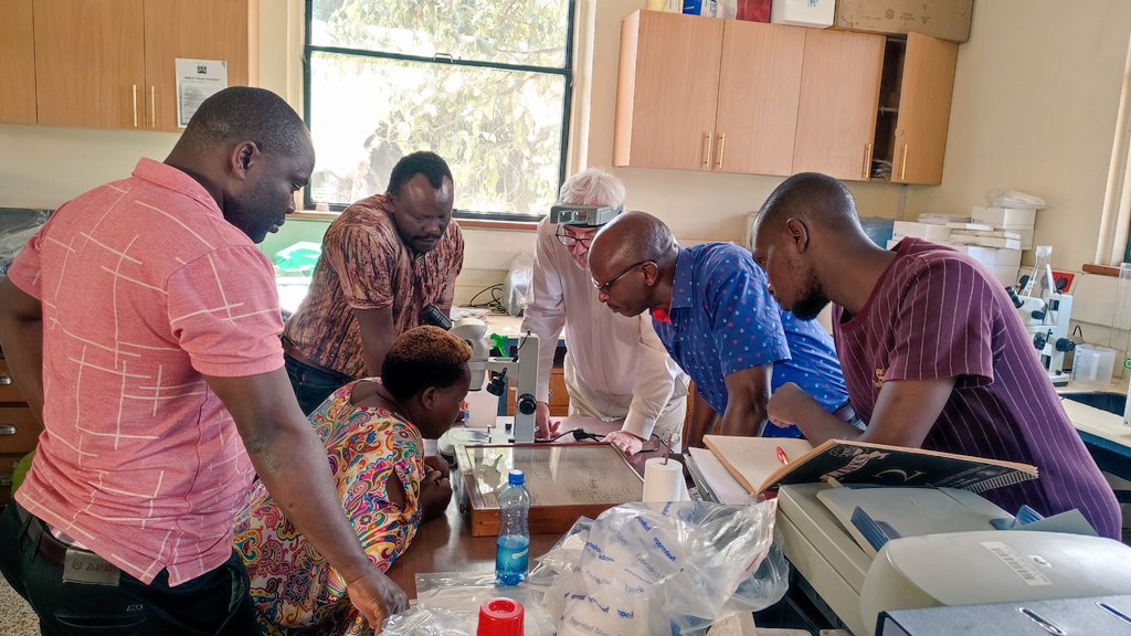 The <a href="/NTDS_Kenya/">Division of Vector Borne and NTDs, Kenya</a> unit is currently conducting activities aimed at verification of elimination of onchocerciasis in Kenya. Today, the team visited the Vector Borne and #NTD laboratory to examine previously collected blackfly specimen
#onchocerciasis
#beatNTDs