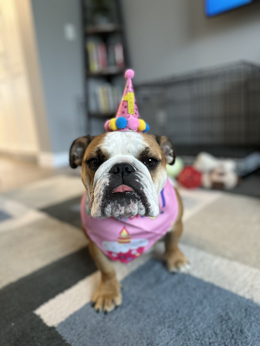 Shara Vigeant tweet media