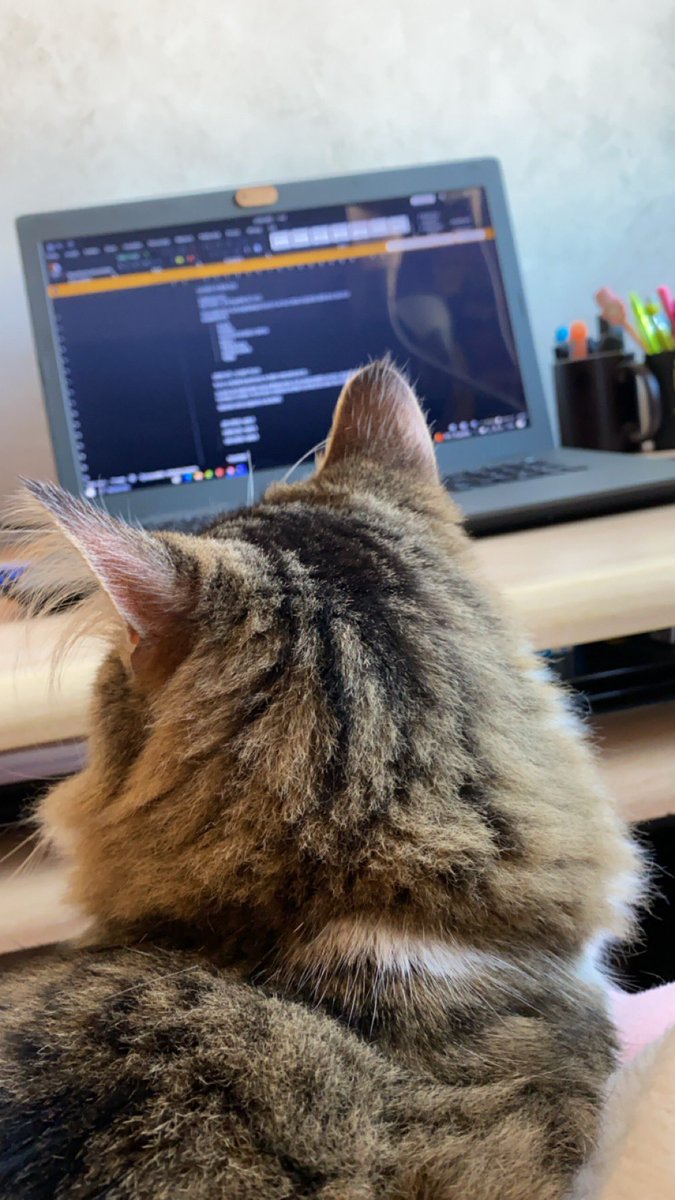 Groscar2's tweet image. Orosement que le loulou il travaille ! Sinon, voilà quoi hein bon