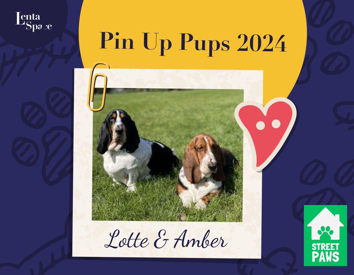 Today's 🐾Pin Up Pups🐾 are Monty, Lotte and Amber

Our thanks go to their human companions for supporting our charity of the year Street Paws who aim to provide free and accessible veterinary care and support services to pets of homeless people in the UK.
#Fundraising #LentaFam