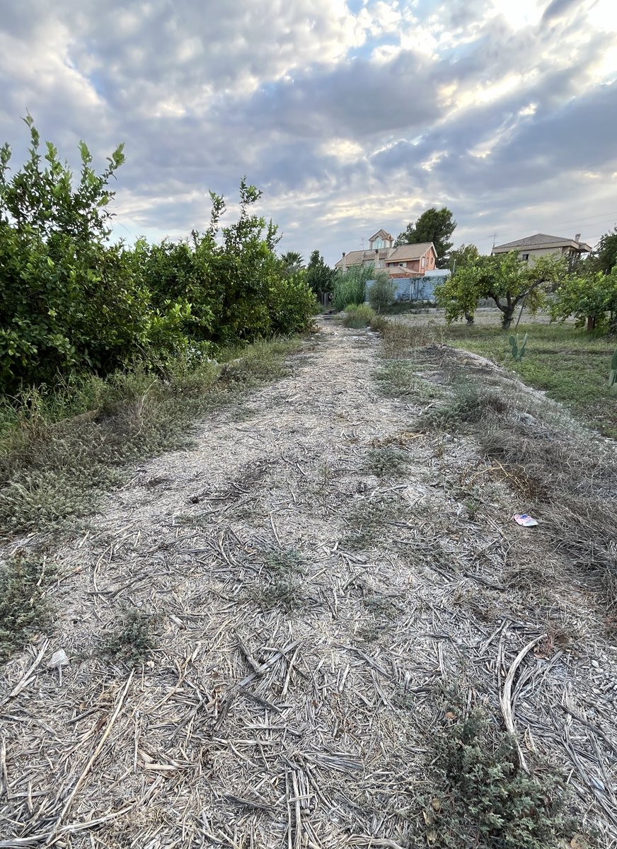 enunlugardelah1's tweet photo. 🍋 Podéis ver dos tramos de la acequia Bendamé separados apenas 50m., uno entubado y otro a cielo abierto.

Las acequias en estado natural son ya, por desgracia, una minoría. Minoría que debemos  proteger a toda costa para no acabar perdiéndolas todas. https://t.co/U5A1y8uXyS