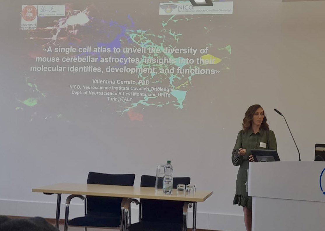 Valentina Cerrato tweet media