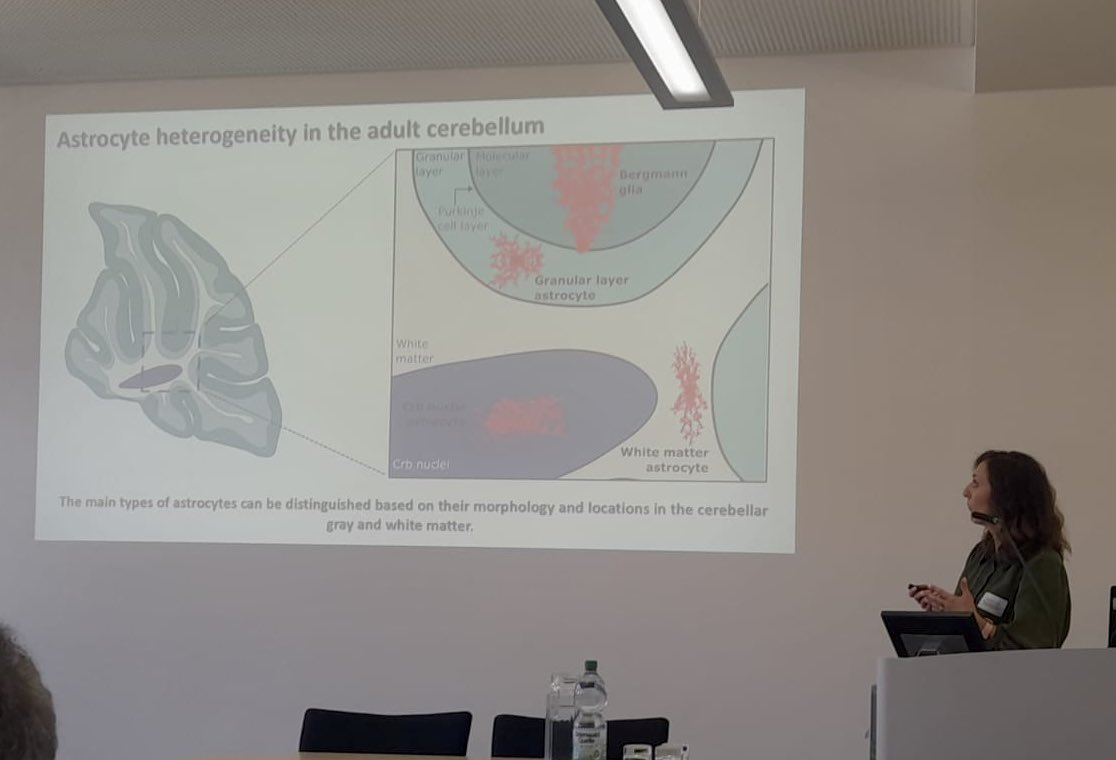 Valentina Cerrato tweet media