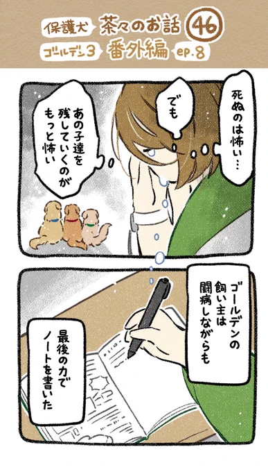 保護犬茶々のお話【第46話】
▶︎ゴールデン×3番外編【EP.8】
#漫画が読めるハッシュタグ 