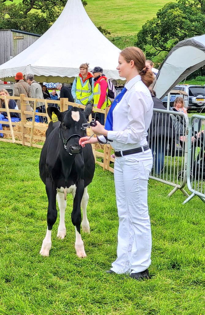 Dalesbrad007's tweet photo. Old photo of Rosie and Tom showing calves at Young Farmers show twenty years ago and Rosie at Malham show this August... #farmkids https://t.co/IQWo4HUwX2