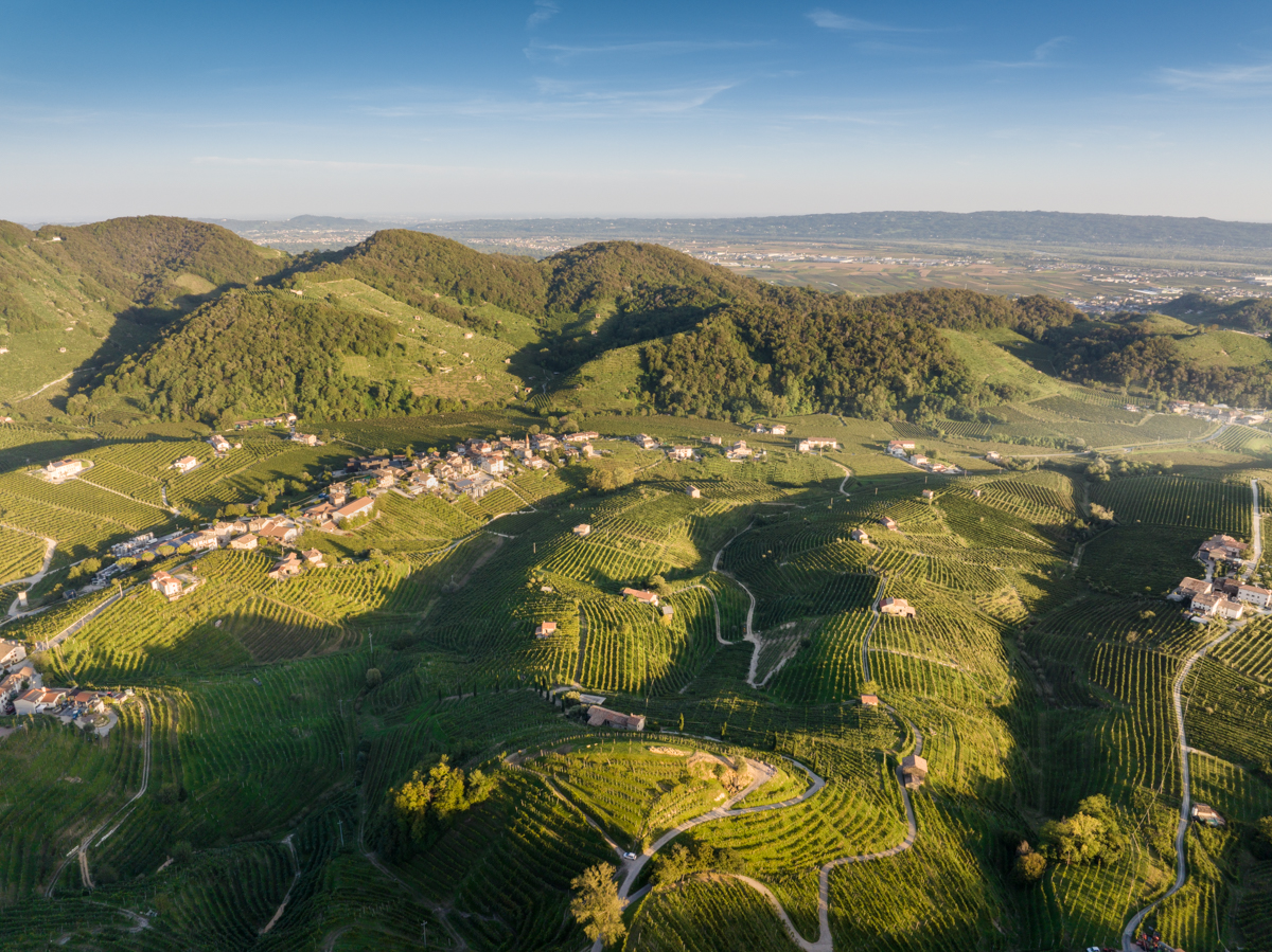 Italia.it (@italia) on Twitter photo Since 2019, the Prosecco Hills of Conegliano and Valdobbiadene have been a UNESCO World Heritage Site. 🍇 Located around Treviso they offer stunning views with steep "ciglioni" vineyards.
📍Colline del Prosecco di Conegliano e Valdobbiadene
<a href="/TurismoVeneto/">Visit Veneto</a>
📷 IG davide_busetto Since 2019, the Prosecco Hills of Conegliano and Valdobbiadene have been a UNESCO World Heritage Site. 🍇 Located around Treviso they offer stunning views with steep "ciglioni" vineyards.
📍Colline del Prosecco di Conegliano e Valdobbiadene
<a href="/TurismoVeneto/">Visit Veneto</a>
📷 IG davide_busetto