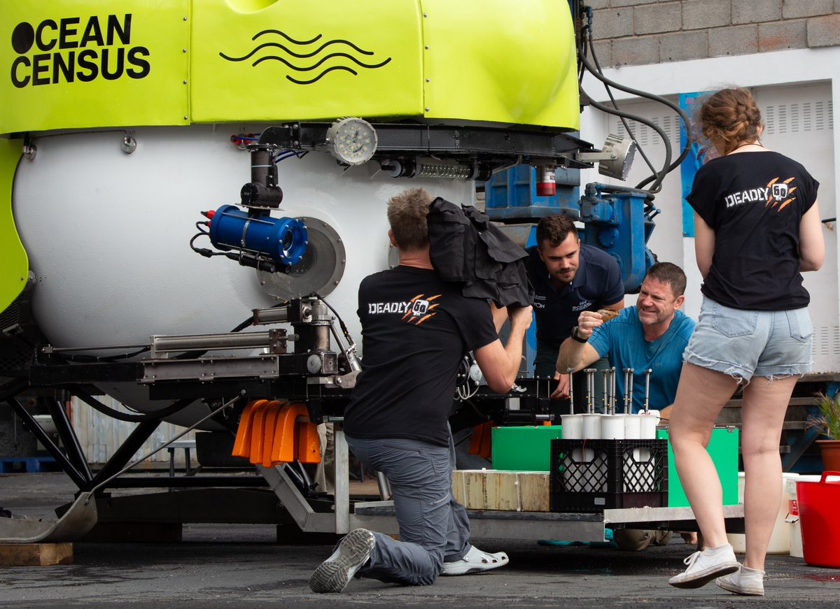 Ocean Census features on the new series of #Deadly60 with <a href="/SteveBackshall/">Steve Backshall</a>! 🐙

Taking a trip down deep, in the most advanced piece of kit ever used on Deadly 60, Steve joined our #Tenerife expedition team on a submarine dive.

Watch the series now on @bbciplayer or on <a href="/cbbc/">CBBC</a>.