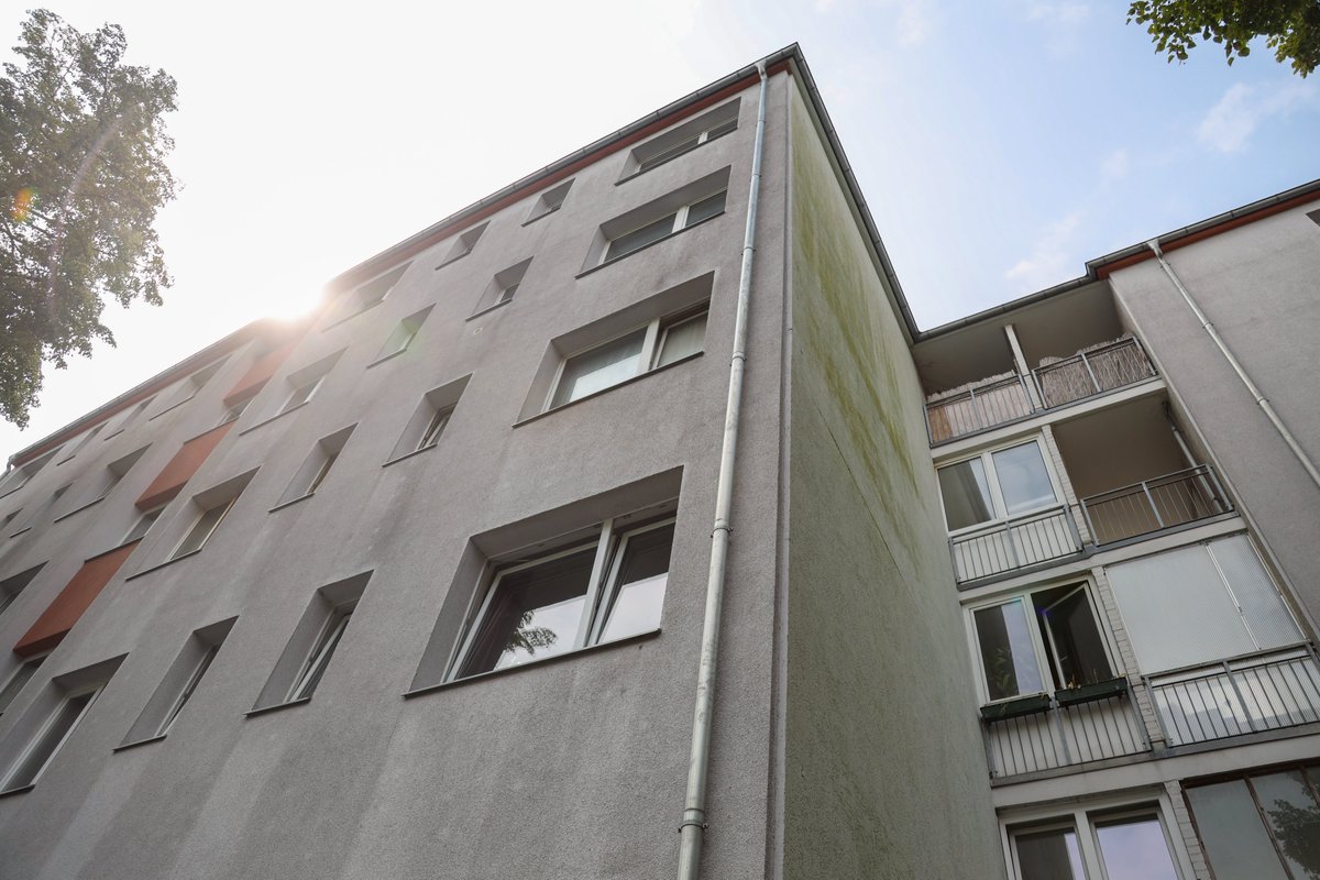 ComActivateEU's tweet image. 🌍 Exciting update from Ekoinvest! Our teams are on-site in 3 countries, connecting with locals, assessing buildings, and prepping renovation roadmaps. 🏘️
Stay tuned for more details!
tinyurl.com/ydy67r3k
#Sustainability #BuildingRenovation #Ekoinvest