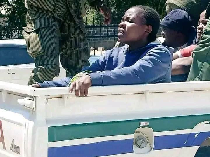Zambian Politics News tweet media