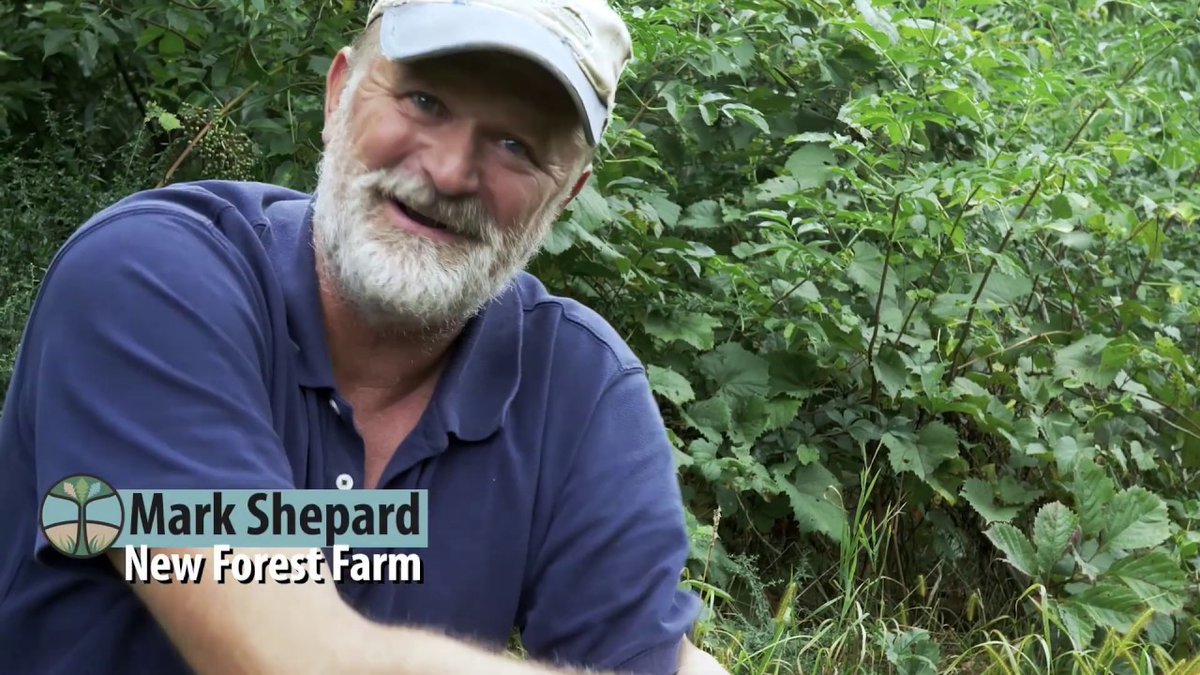 De Amerikaanse pionier van herstellende landbouw Mark Shepard komt naar ILVO. Ben je landbouwer, beleidsmaker of onderzoeker? Benieuwd om Mark Shepard live aan het werk zien?
Kom op 15/10 naar de inspirerende studiedag ‘Boeren met Bomen’ bij ILVO in Melle
agroforestryvlaanderen.be/nl/agenda/slot…