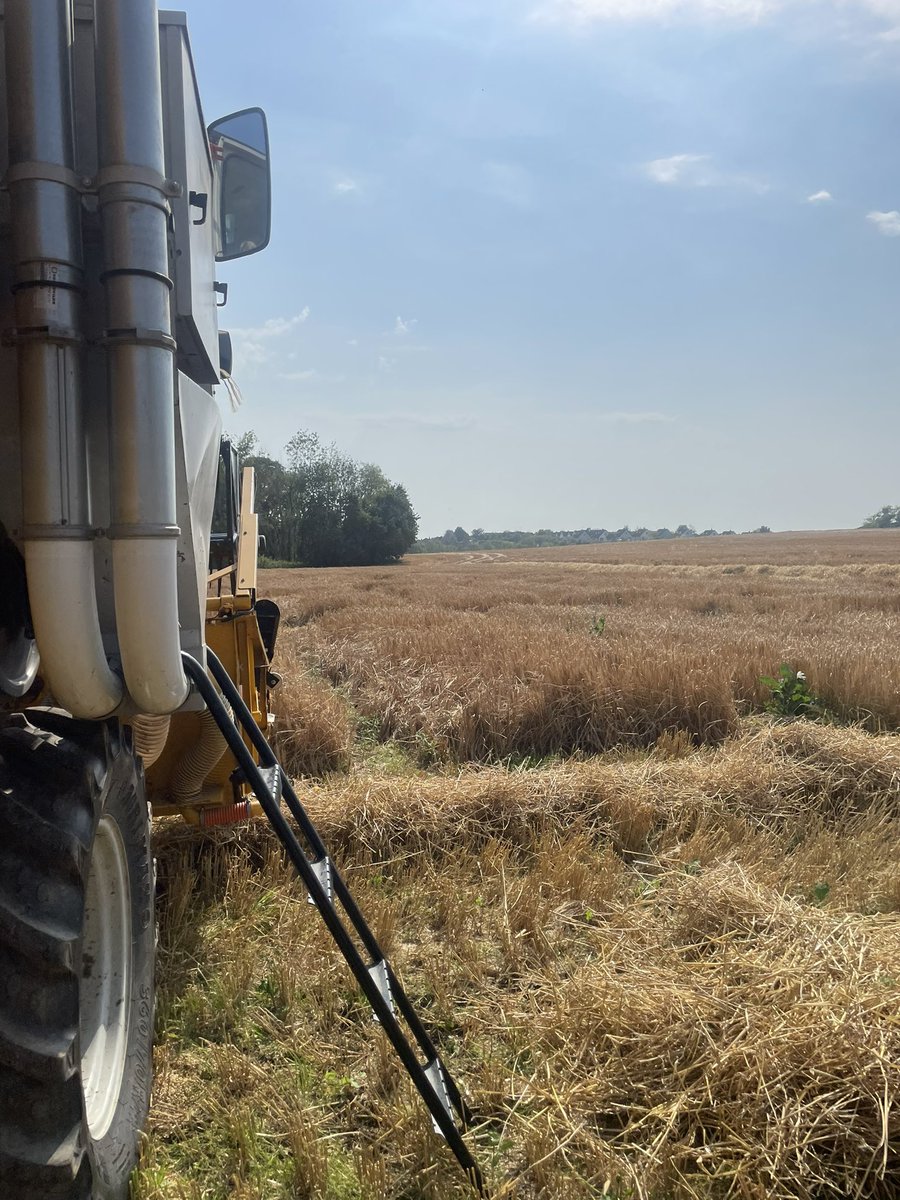 Daniel Coonan tweet media