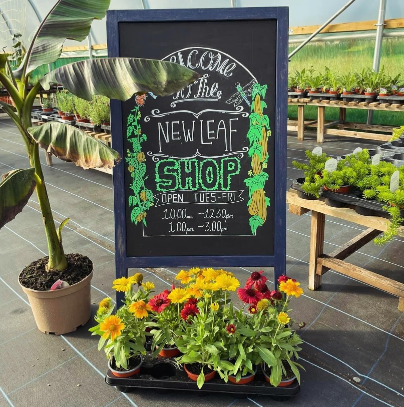 DPT_NHS's tweet photo. Our vocational rehabilitation service, New Leaf has some lovely #plants for sale as we head into autumn. Pansies, viola and cyclamen will be ready soon! This new sign was created by one of the talented clients at the service, which is based in #Exminster:  https://t.co/6PhAJmnes9 https://t.co/G2W5qChQpC
