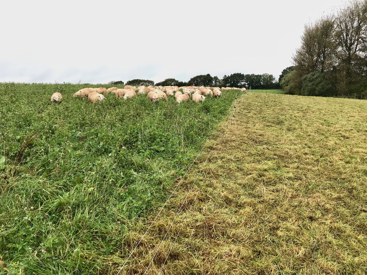 MOB GRAZING RESEARCH 🐂🌿

<a href="/Rothamsted/">Rothamsted Research</a> , a world-leading, non-profit research centre that focuses on strategic agricultural science to the benefit of farmers and society worldwide, have released a report on their ‘Techno Grazing’ research that reveals...1/6
