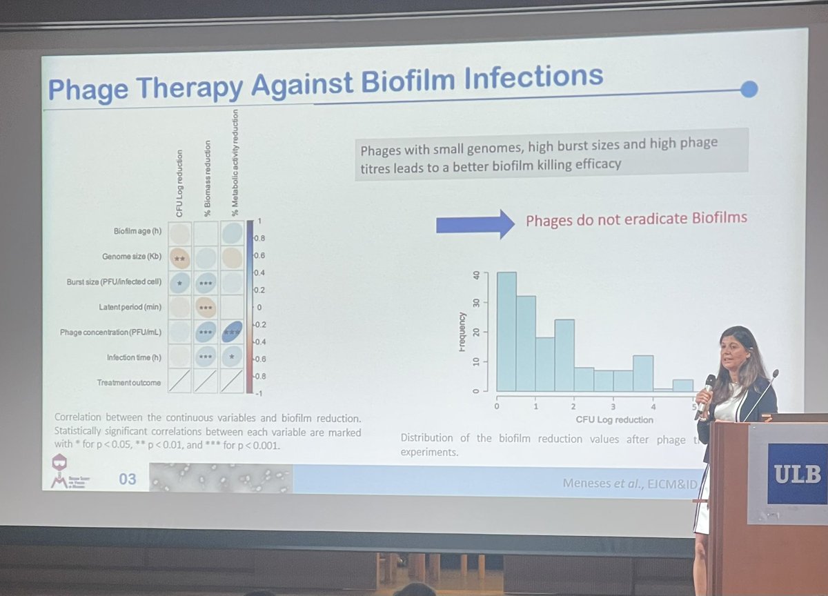 Dr. Sabrina Green, PhD (@motherofphage) on Twitter photo “Phages do not eradicate biofilms” they need some help :)
<a href="/BSVoM_official/">Belgian Society for Viruses of Microbes</a> <a href="/AzeredoLab/">Azeredo Lab</a> “Phages do not eradicate biofilms” they need some help :)
<a href="/BSVoM_official/">Belgian Society for Viruses of Microbes</a> <a href="/AzeredoLab/">Azeredo Lab</a>